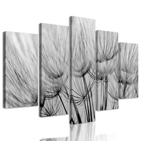 5-dielny obraz presný detail púpavy v čiernobielom prevedení