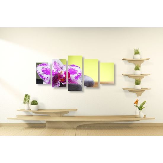 5-dielny obraz zaujímavo sfarbená orchidea a Zen kamene