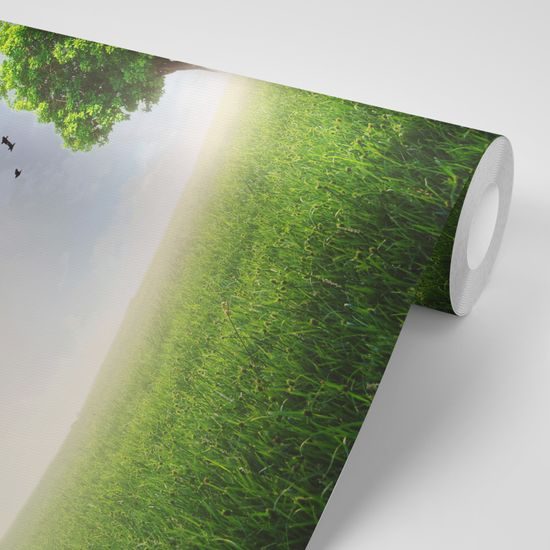 Tapeta magický strom pod dúhou