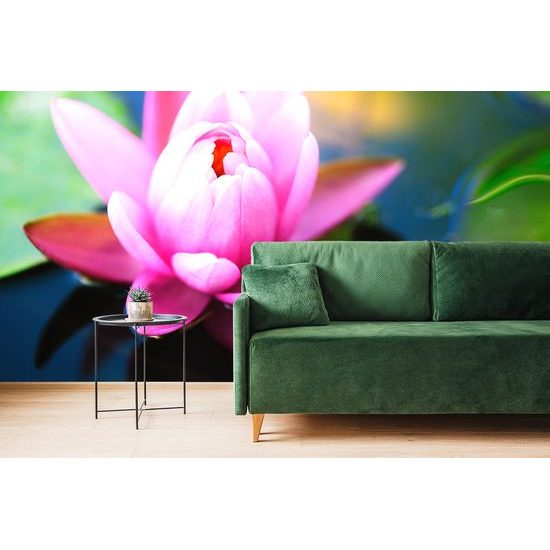 Tapeta nežný plávajúci kvet