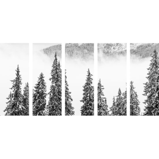 5-dielny obraz čiernobiele borovicové stromy pokryté snehom
