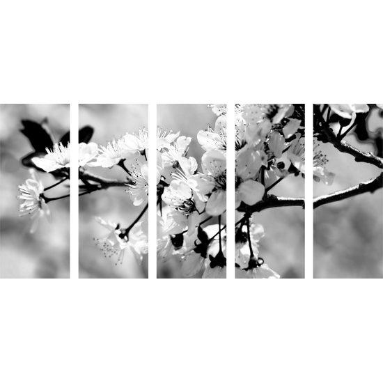 5-dielny obraz krásny kvet v čiernobielom prevedení