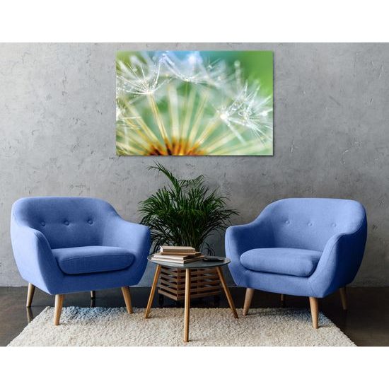 Obraz raná rosa na púpave