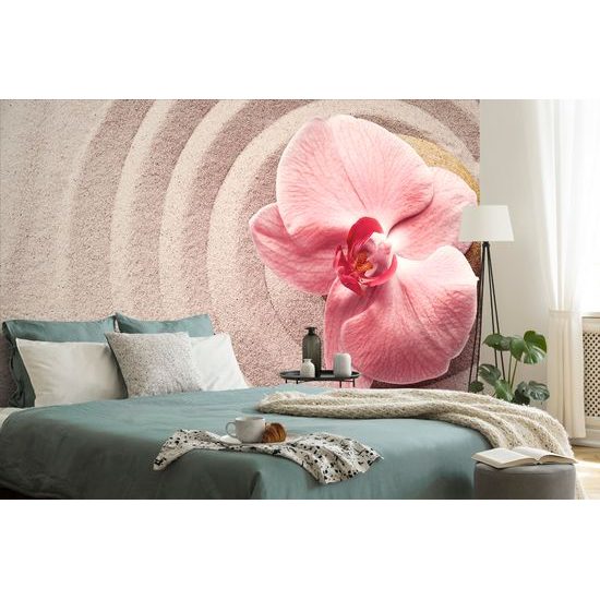 Samolepiaca fototapeta harmónia orchidey s pieskom
