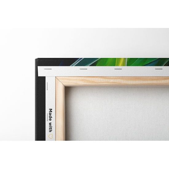 Obraz výbuch farieb