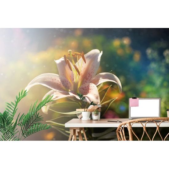 Samolepiaca tapeta magický kvet