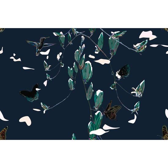 Tapeta motýle plné života v tmavom prevedení