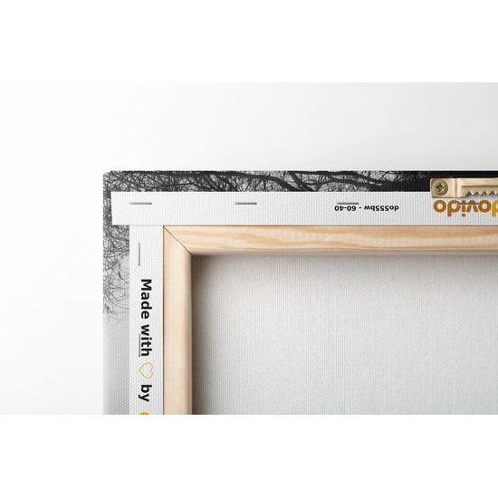 Obraz pole zahalené v rannej hmle v čiernobielom prevedení