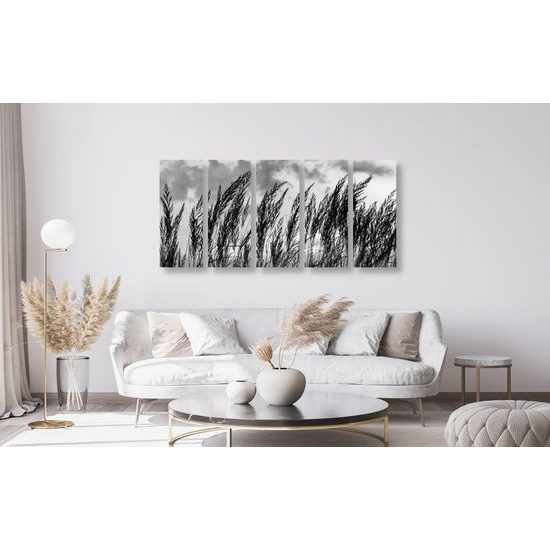 5-dielny obraz poľná tráva s nebeským pozadím v čiernobielom prevedení