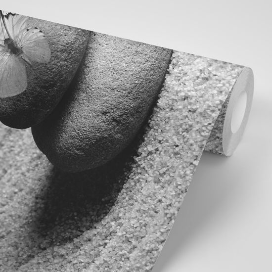 Samolepiaca fototapeta krásny motýľ v zen záhrade v čiernobielom prevedení