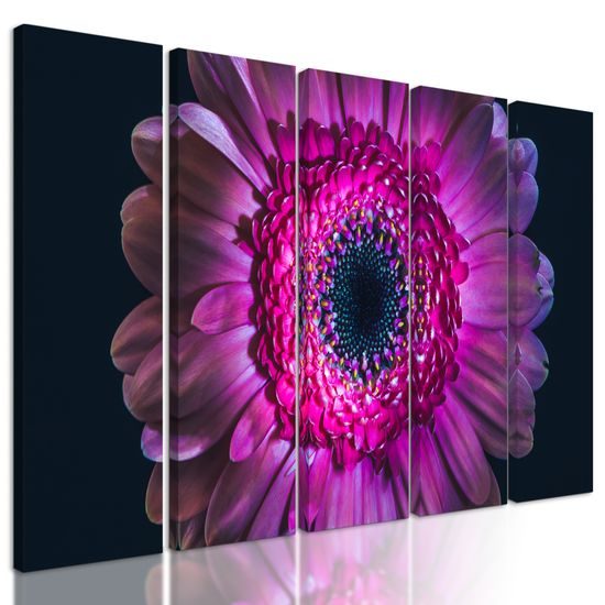 5-dielny obraz detail gerbery