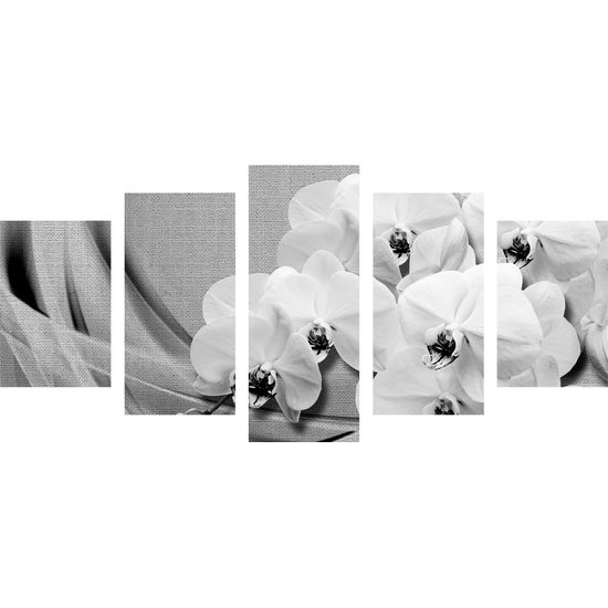 5-dielny obraz nádherná čiernobiela orchidea