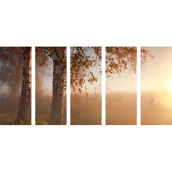 5-dielny obraz ranný východ slnka nad lesom