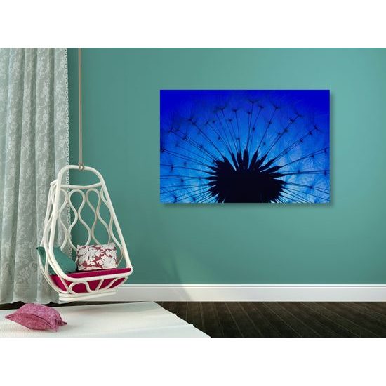 Obraz abstraktná nočná púpava