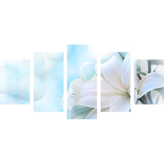 5-dielny obraz snehobiela ľalia