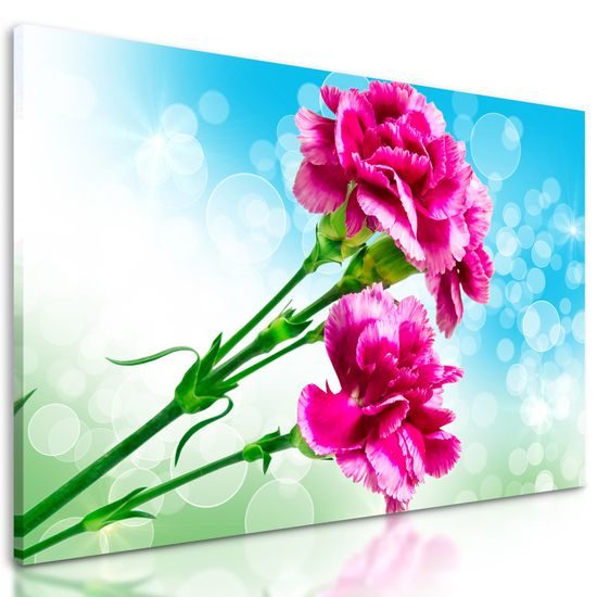 Obraz nádherny ružový kvet