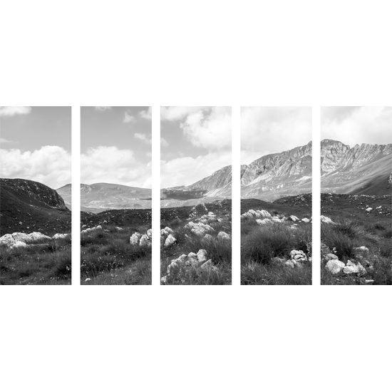 5-dielny obraz krásy prírody v čiernobielom prevedení