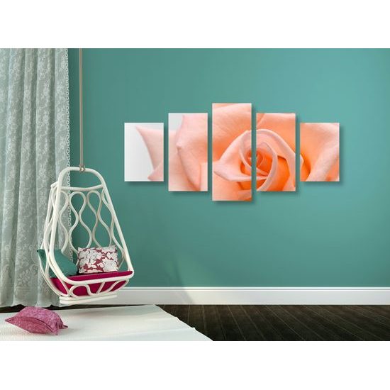 5-dielny obraz precízny detail na oranžovú ružu