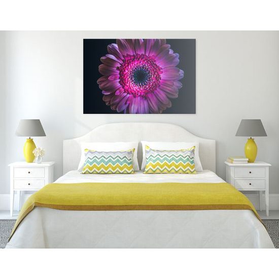 Obraz detail gerbery