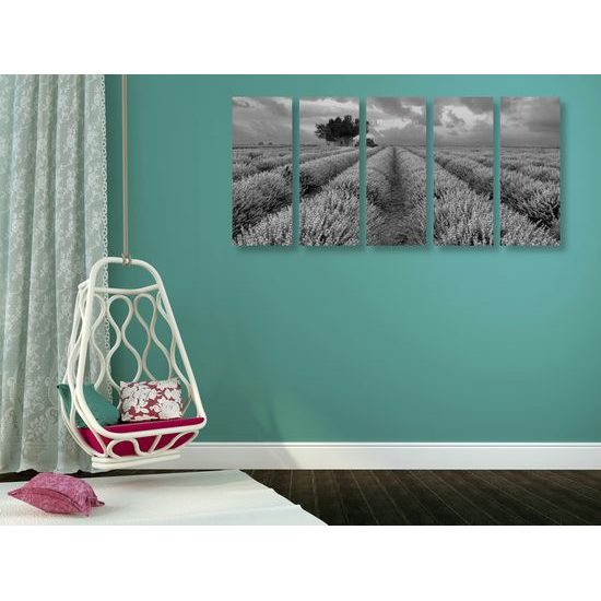 5-dielny obraz pole plné levandule v čiernobielom prevedení