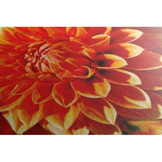 Obraz oranžová dychberúca dália