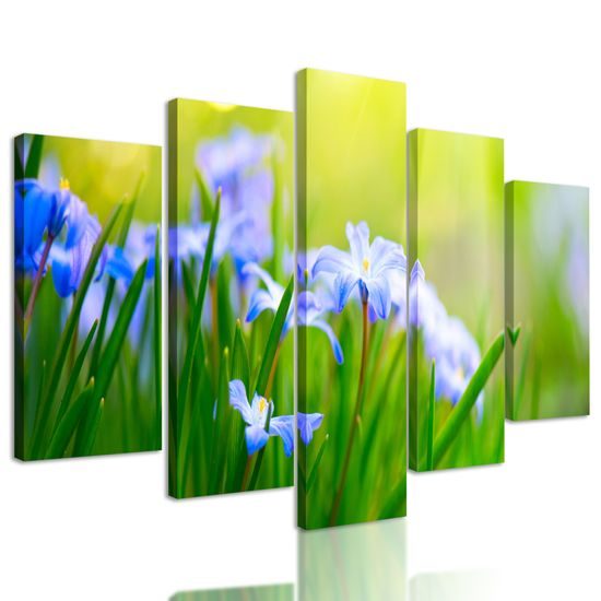 5-dielny obraz lúčne kvety na zelenej tráve