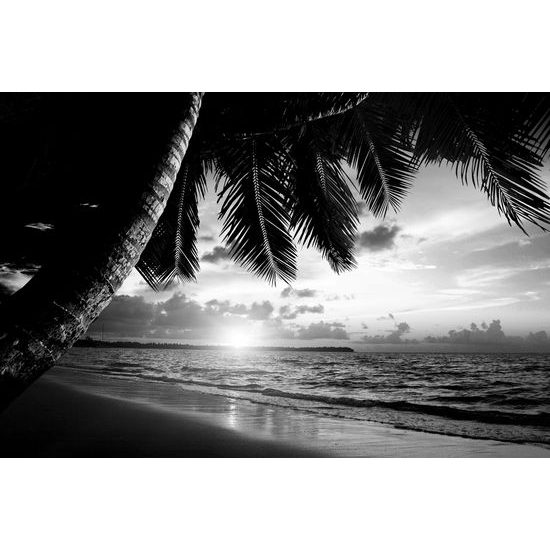 Obraz čiernobiely východ slnka v tropickom raji