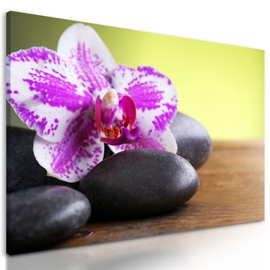 Obraz zaujímavo sfarbená orchidea a Zen kamene