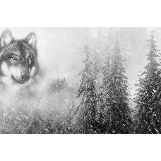 Tapeta čiernobiela maľba vlka v zimnej prírode