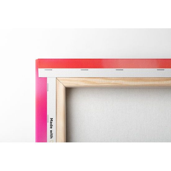 Obraz púpava v ružovo bielych farbách