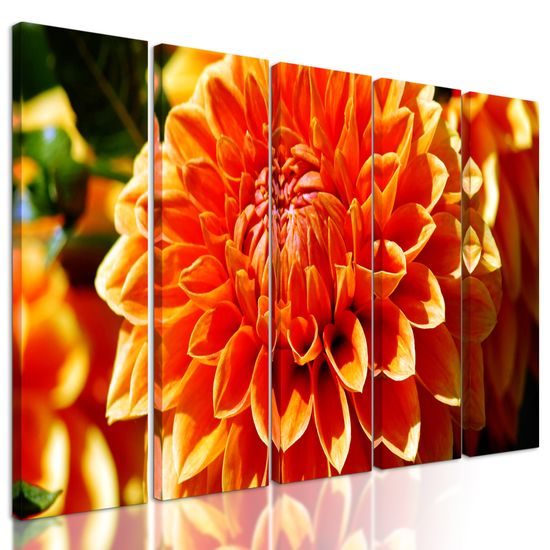 5-dielny obraz dychberúca dália