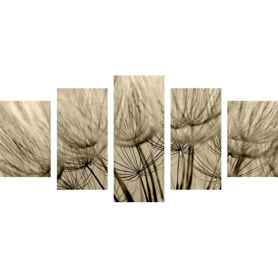 5-dielny obraz presný detail púpavy v sépiovom prevedení