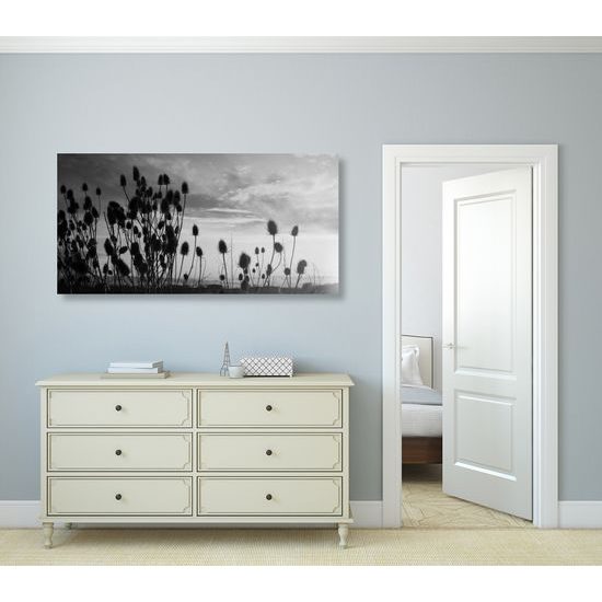 Obraz západ slnka za steblami trávy v čiernobielom prevedení