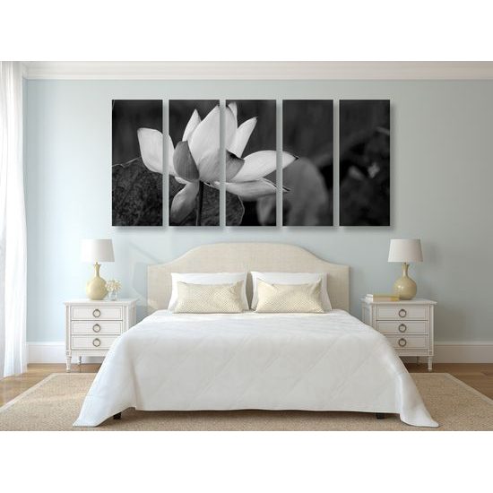 5-dielny obraz nádherny kvet v čiernobielom prevedení