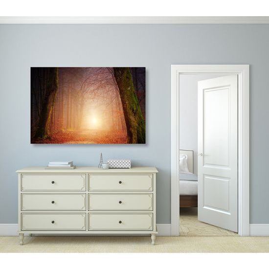 Obraz východ slnka uprostred lesa