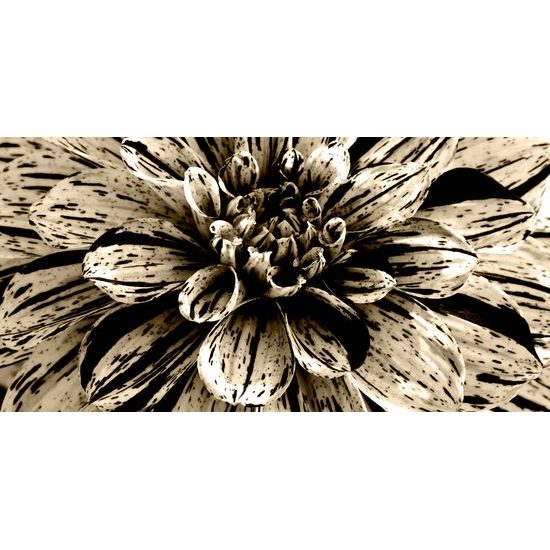 Obraz ohromná dália v sépiovom prevedení