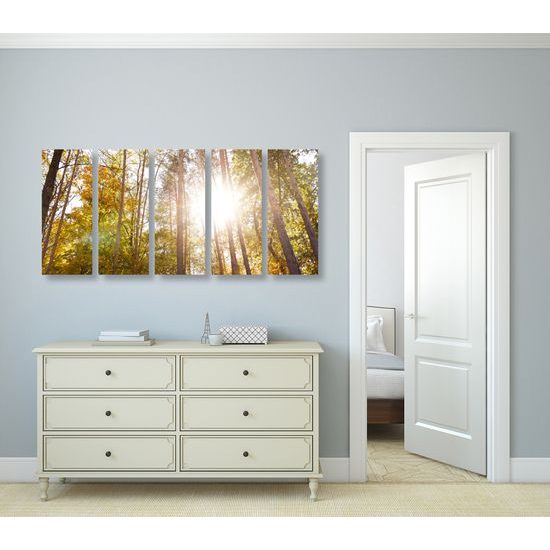 5-dielny obraz slnko v korunách stromov