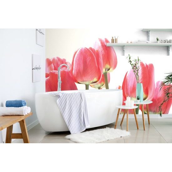 Samolepiaca fototapeta elegantné tulipány