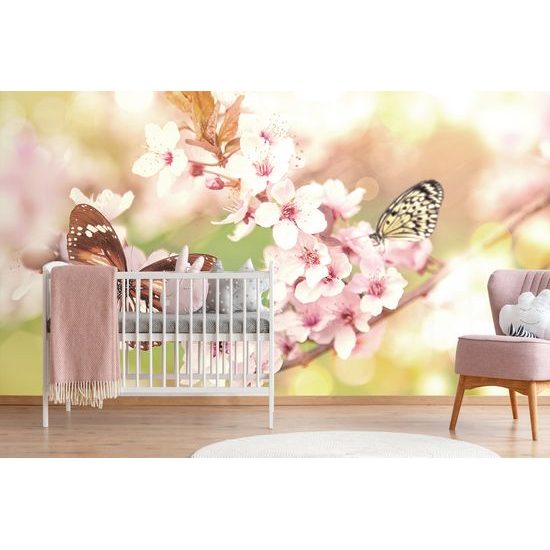 Samolepiaca tapeta motýle na konári jarných kvetov