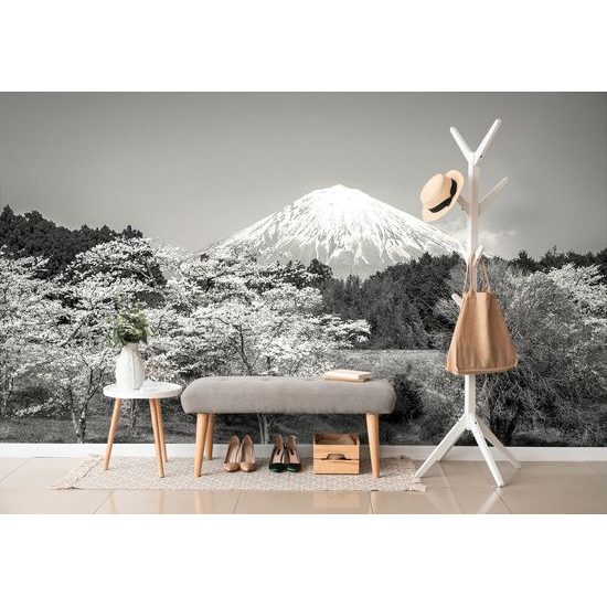 Samolepiaca fototapeta čiernobiela Fuji v objatí japonskej prírody