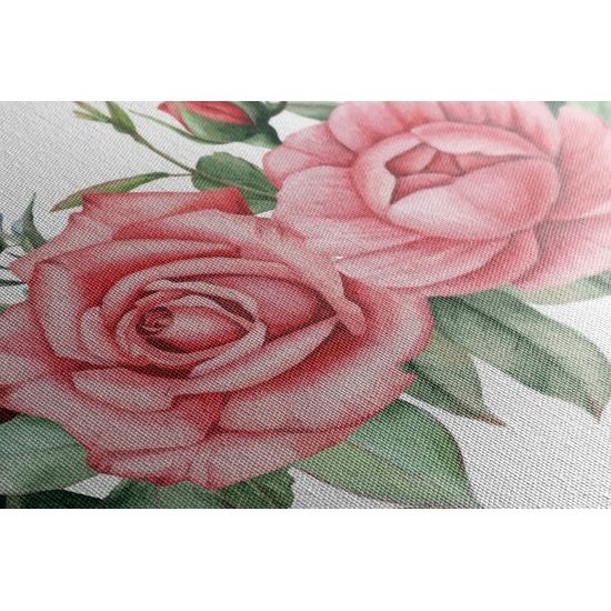 Obraz nežné splynutie ruží a listov