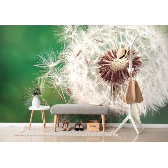 Jedinečná fototapeta detailná púpava