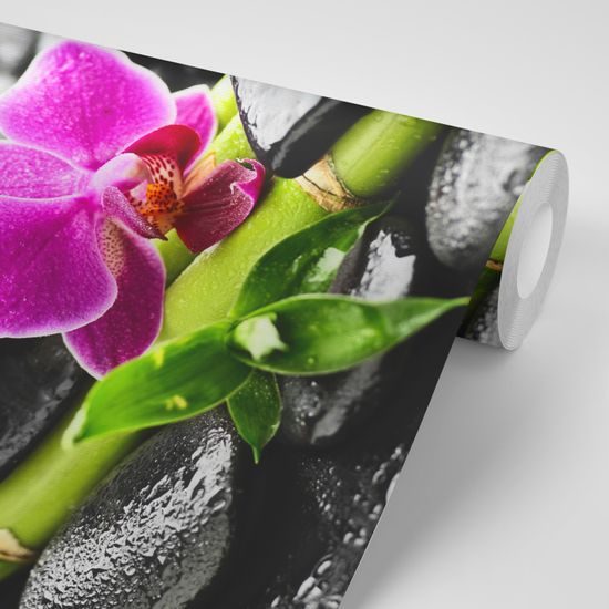 Fototapeta spa zátišie s fialovou orchideou