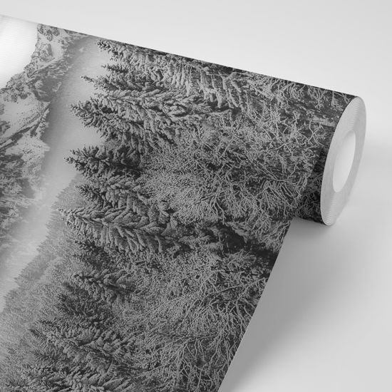 Samolepiaca fototapeta zasnežená krajina v čiernobielom prevedení