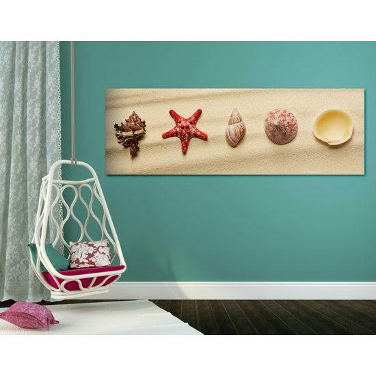 Obraz zátišie z mušlí na pláži
