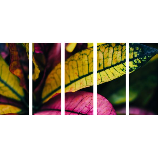 5-dielny obraz tropické listy
