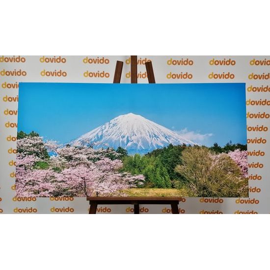 Obraz nádherná Japonská sopka Fuji