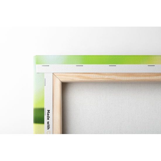 Obraz zen zátišie s orchideou