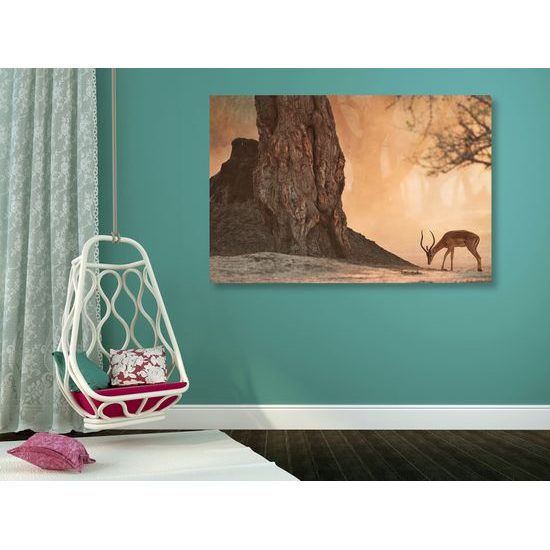 Obraz antilopa v africkej savane