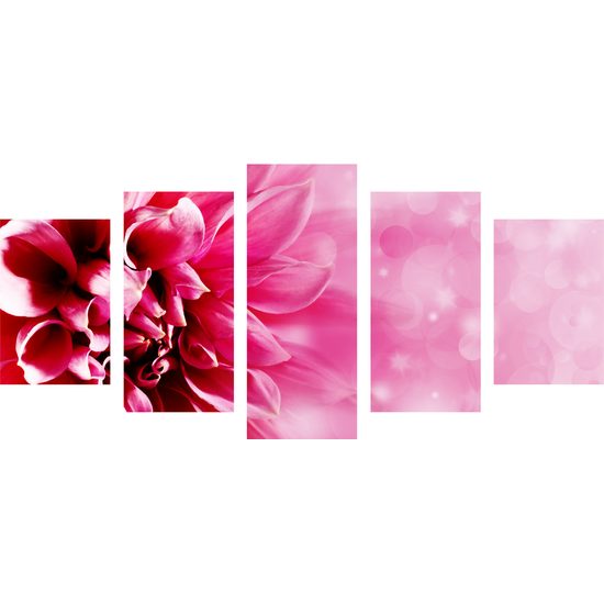 5-dielny obraz detail ružového kvetu